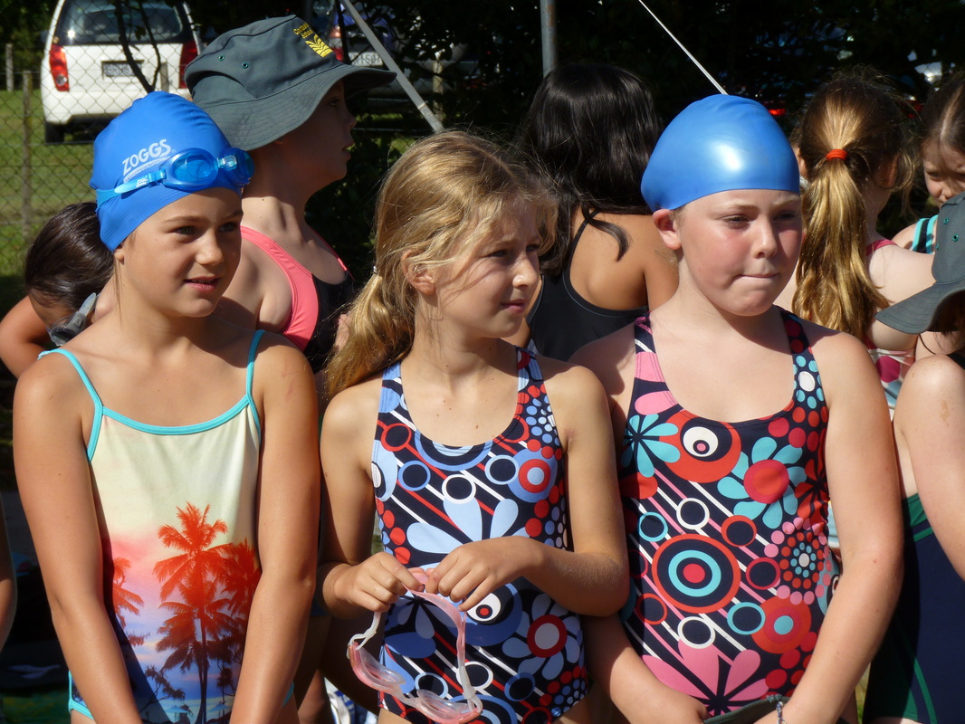 Middle School Girl Swimming Telegraph